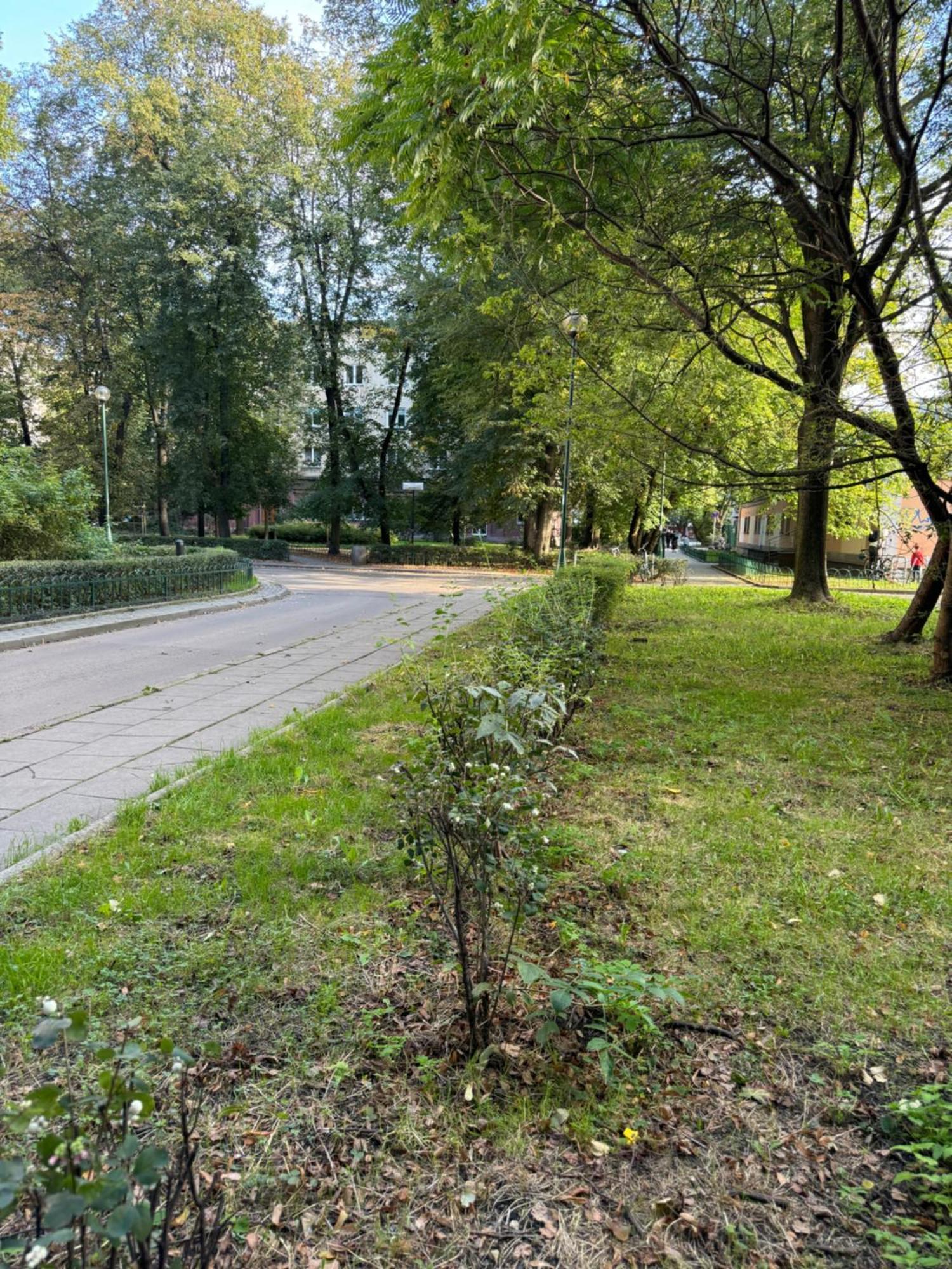 Juli Appartement Krakau